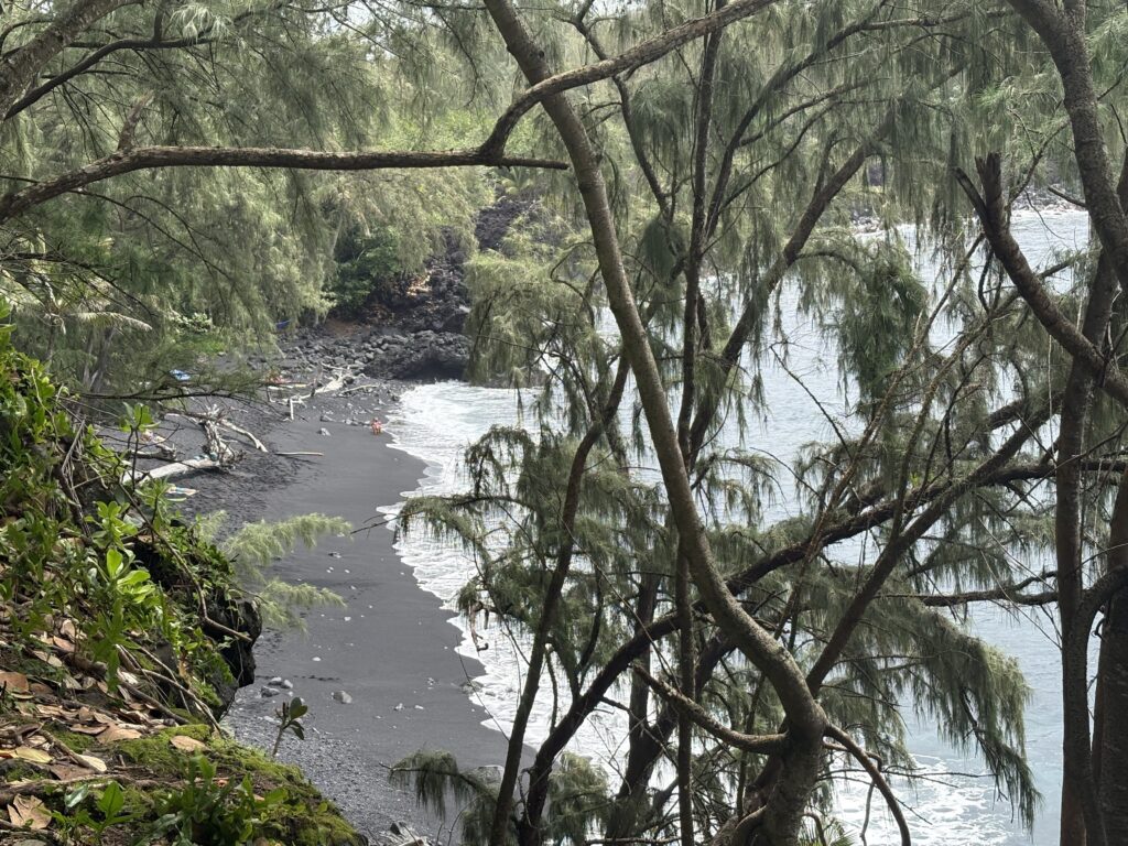 Kehena Black Sand Beach, near Kehena Beach Estates in Puna. (Taylor Nahulukeaokalani Cozloff/Civil Beat/2026)