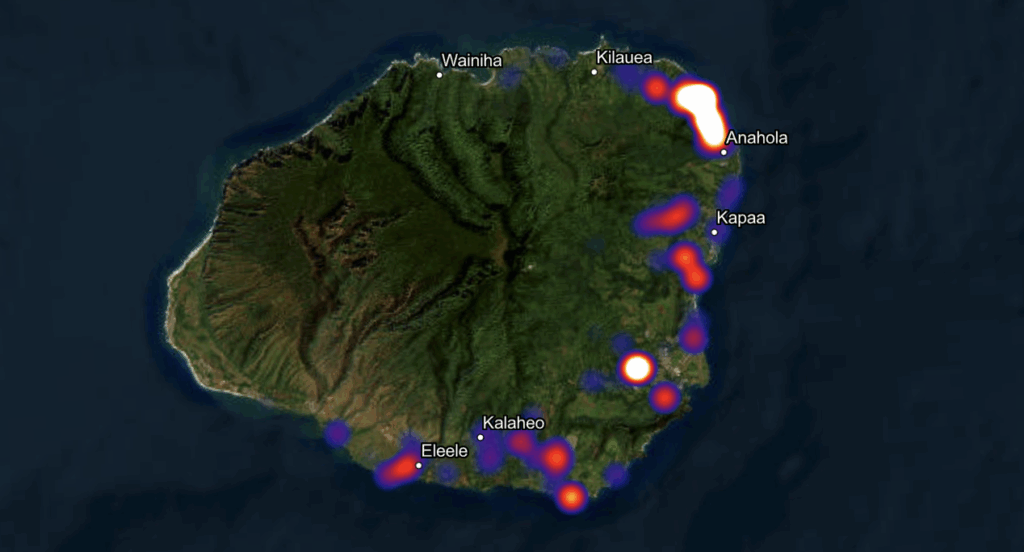 A map of Kauai with different colored blotches depicting the concentration of coconut trees damaged by the coconut rhinoceros beetle.