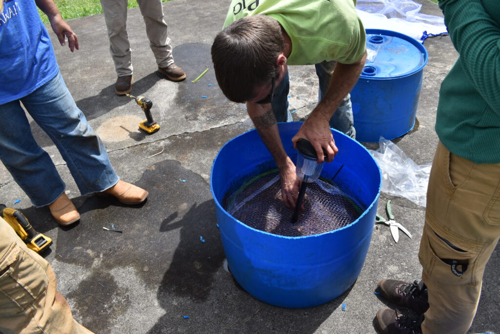 A man places a UV light in a blue container filled with mulch and netting.