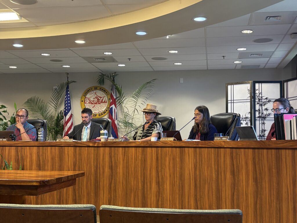 Hawaiʻi County Council at a finance committee hearing on the Mayor's proposed budget.