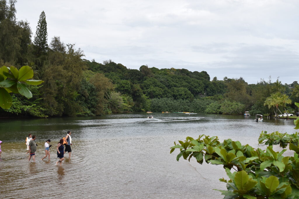 A small group of tourists walk through shallow waters near the Hanalei River mouth.