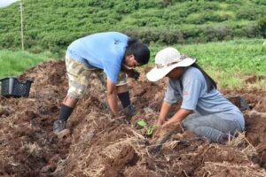 Beginner Farmers Need Look No Further Than West Kauaʻi