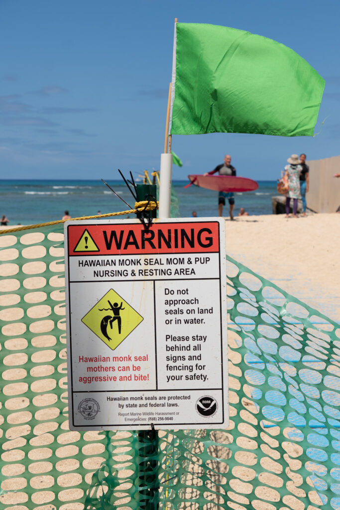 A warning sign on a green net fence with a green flag flying overhead. In the background is a surfer with a red board and other individuals.