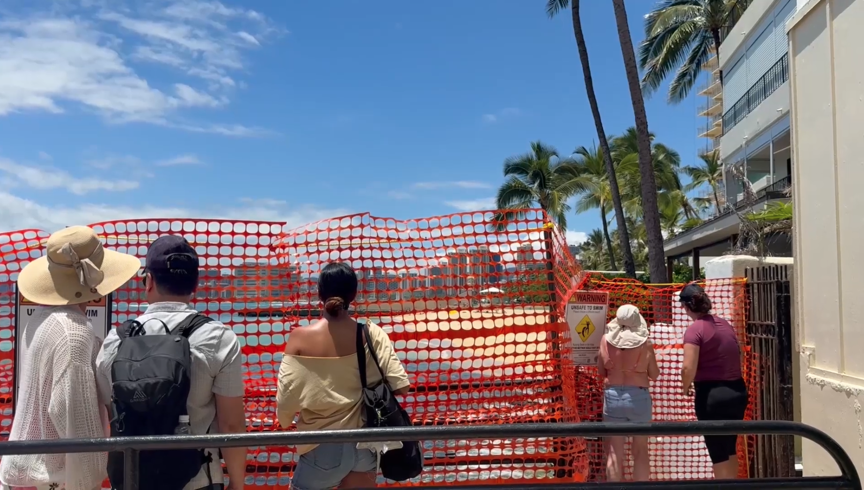 Crowd watching Hawaiian monk seals behind protective red barrier May 7, 2026