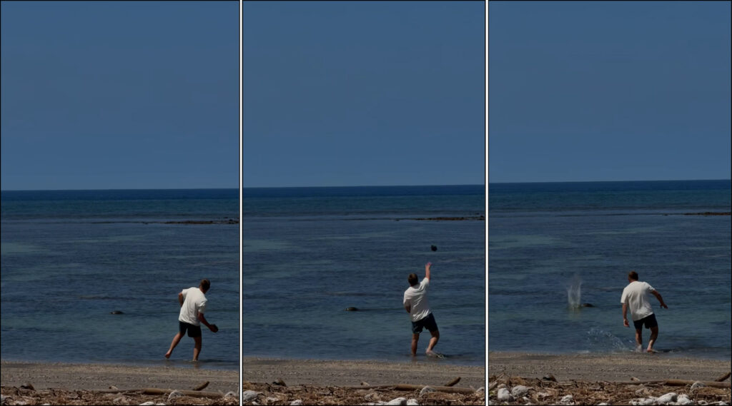 Sequence of 3 screenshots from a video showing a white male in shorts and a t-shirt on the beach handling a sizable rock and throwing it at a monk seal swimming nearby narrowly missing the monk seal's head.