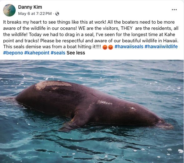 A Facebook post shows what lifeguard Danny Kim thought happened to a monk seal found dead.