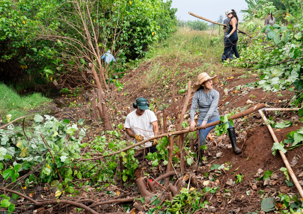 It Takes A Village To Prevent Future Oʻahu Storm Damage