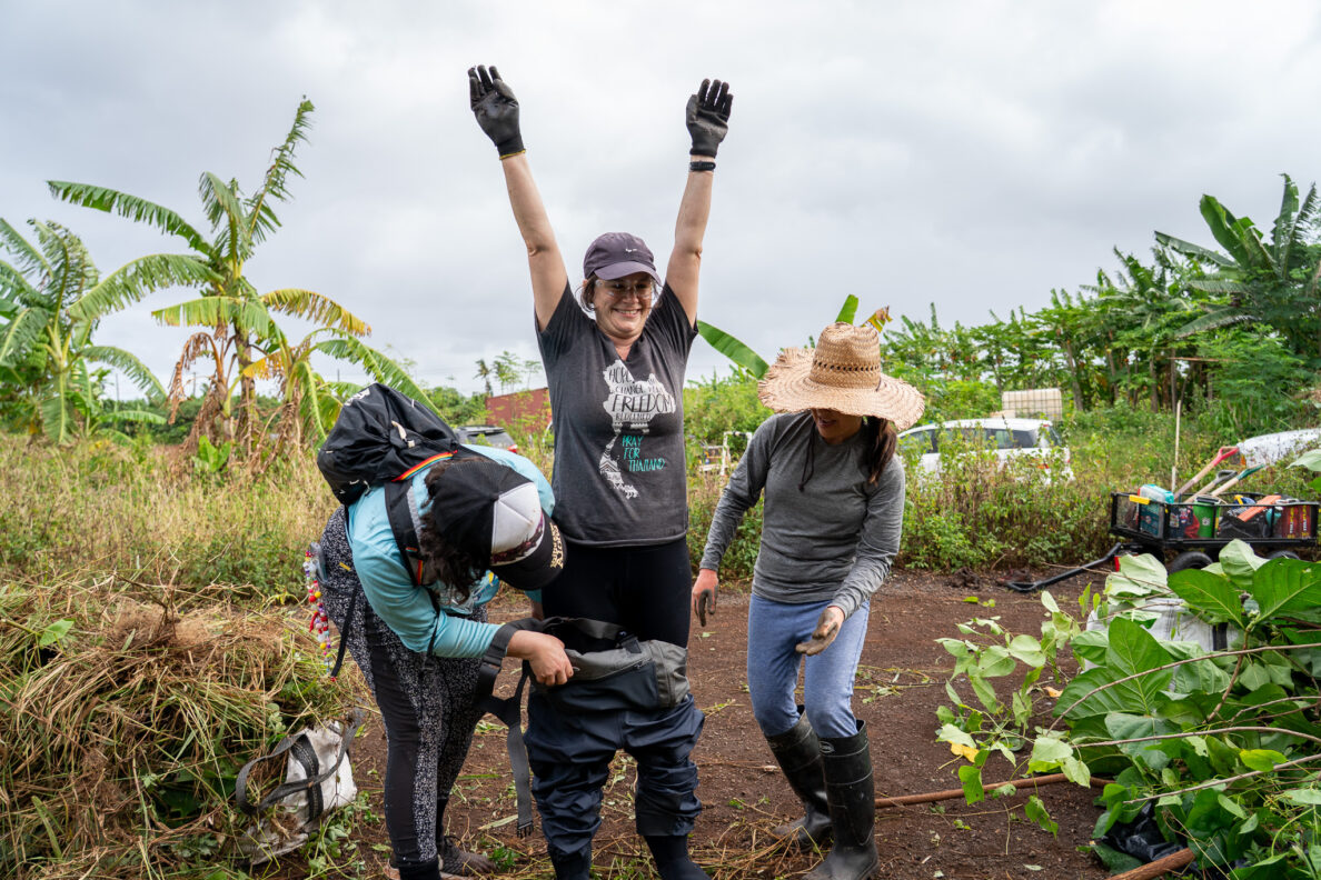 Megan Dooley gets a hand putting on waders during work clearing a ditch of overgrown trees and foliage at Mill 6 Farms in Waialua May 23, 2026. Rebecca Stringer, left, and Julie Taniyama lend a hand. (Craig Fujii/Civil Beat/2026)