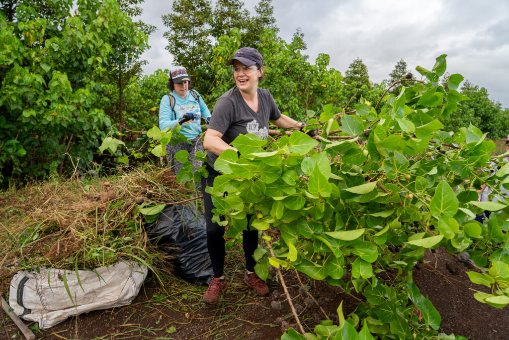 Megan Dooley, front, and pastor Rebecca Stringer from Wellspring Covenant Church pull branches and small trees from a ditch at Mill 6 Farms in Waialua May 23, 2026. This ditch is 1,800 feet long and just more than 180 feet of one side was cleared in four hours. (Craig Fujii/Civil Beat/2026)